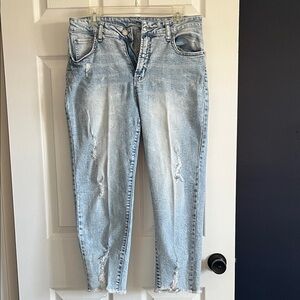 Time and Tru Light Wash Distressed Ankle Jeans
